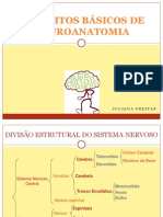 222246_CONCEITOS BÁSICOS DE NEUROANATOMIA