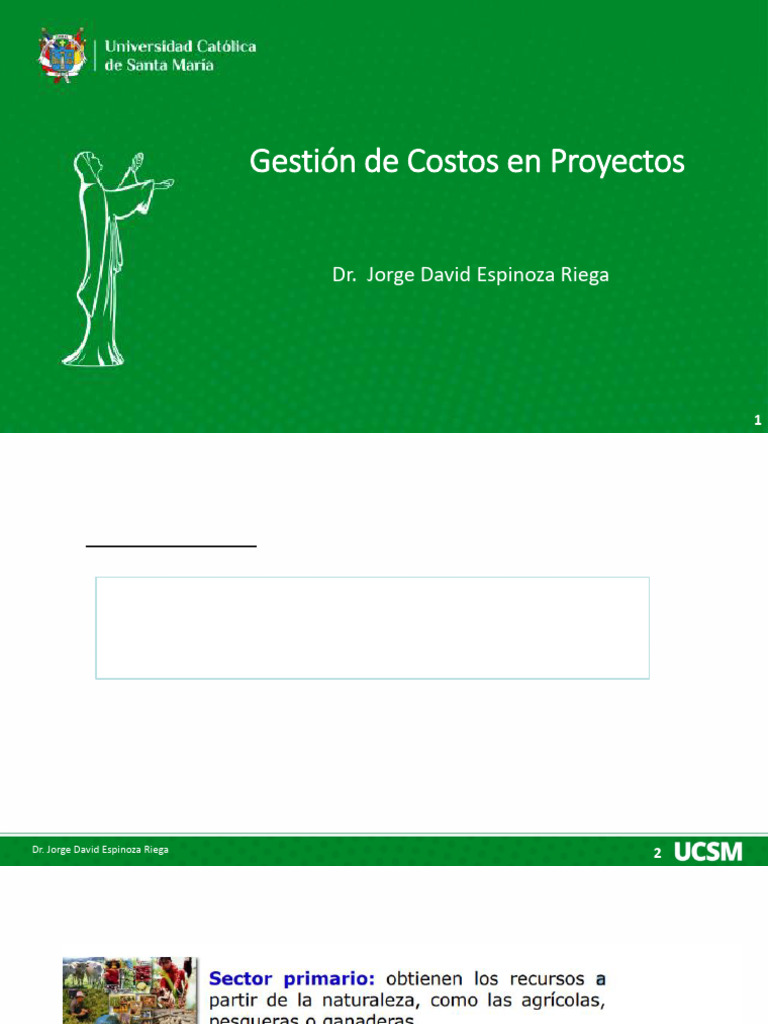 Gestión de Costos en Proyectos Empresariales | PDF | Presupuesto ...