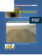 Lignite Coal Pakistan Kingri