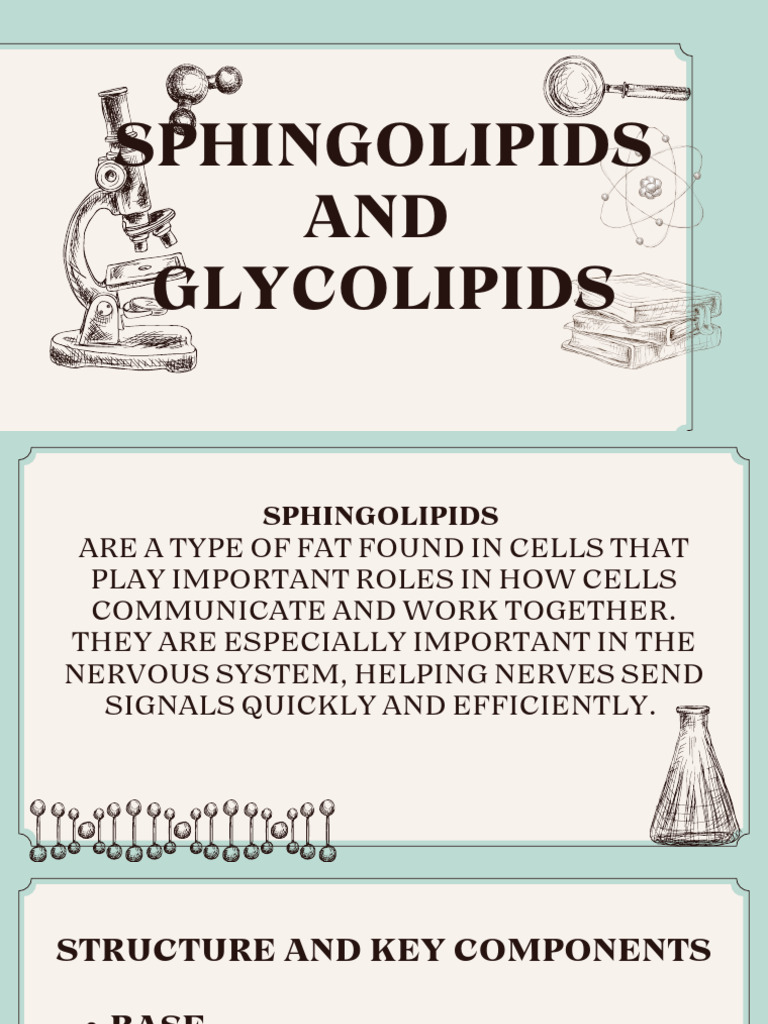 Sphingolipids and Glycolipids Overview | PDF