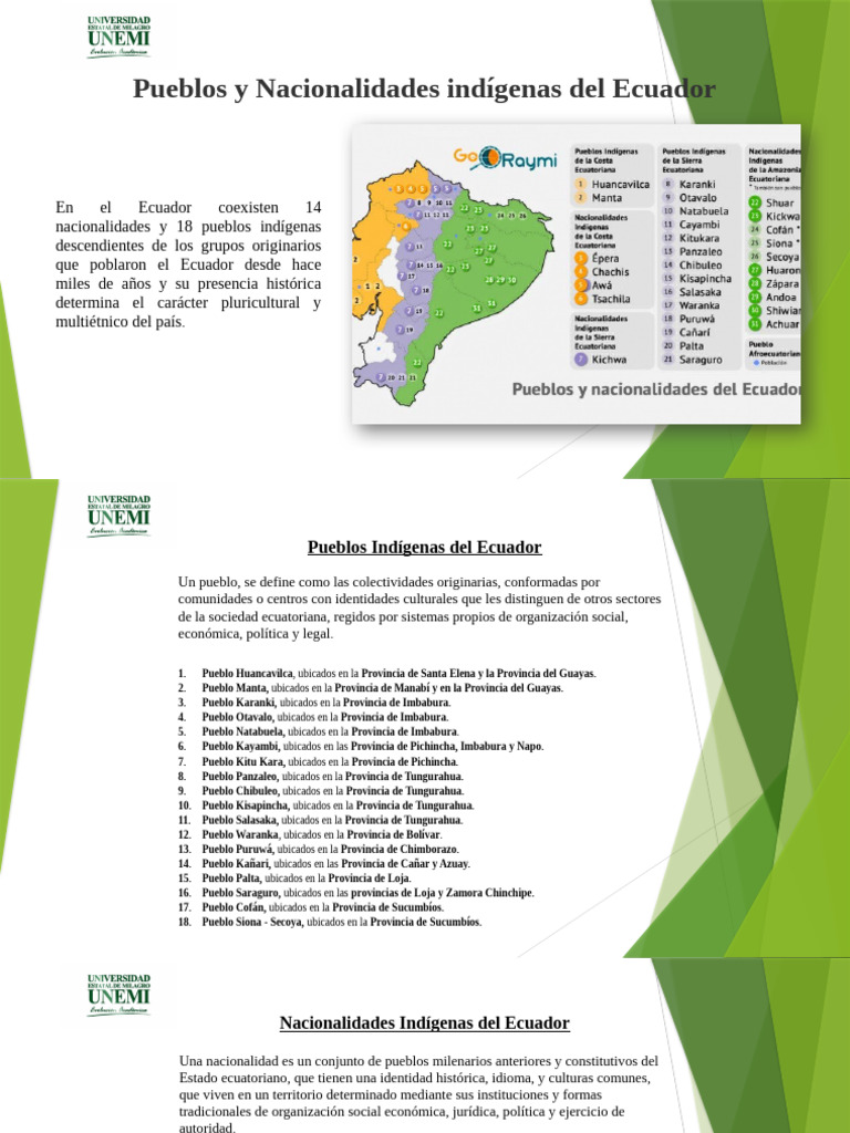 Pueblos y Nacionalidades Indígenas de Ecuador | PDF | Cocina occidental ...