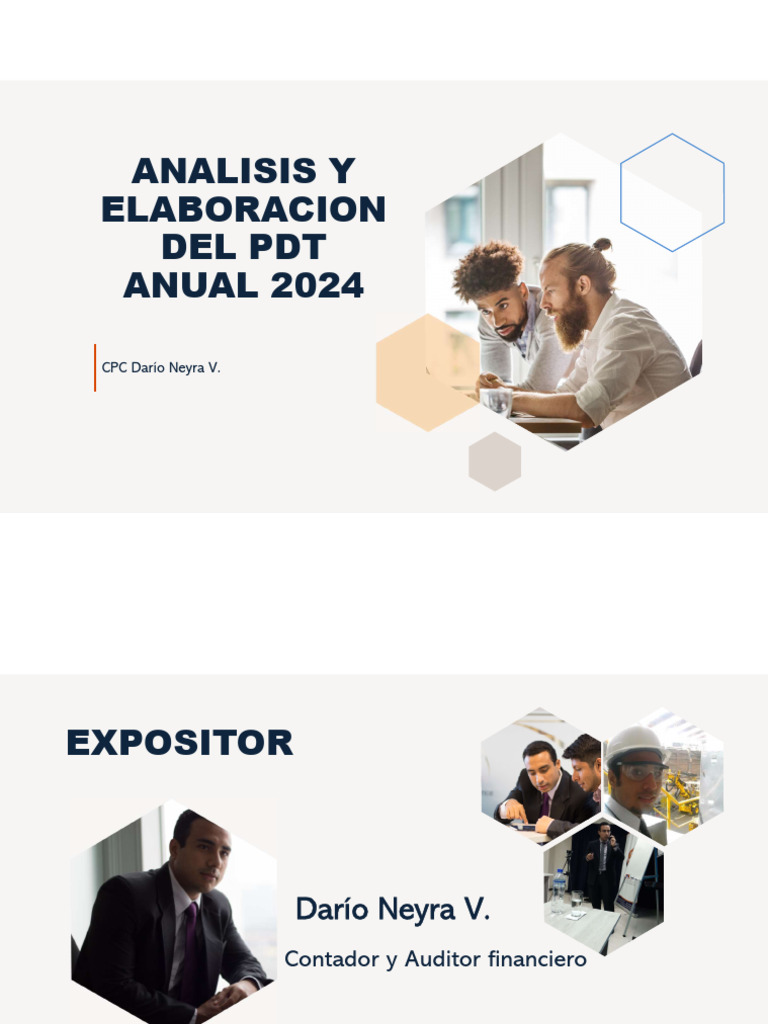 Análisis del PDT Anual 2024 | PDF | normas internacionales de ...