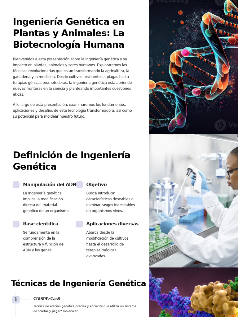 Ingeniería Genética: Impacto y Aplicaciones | PDF | Ingeniería genética ...