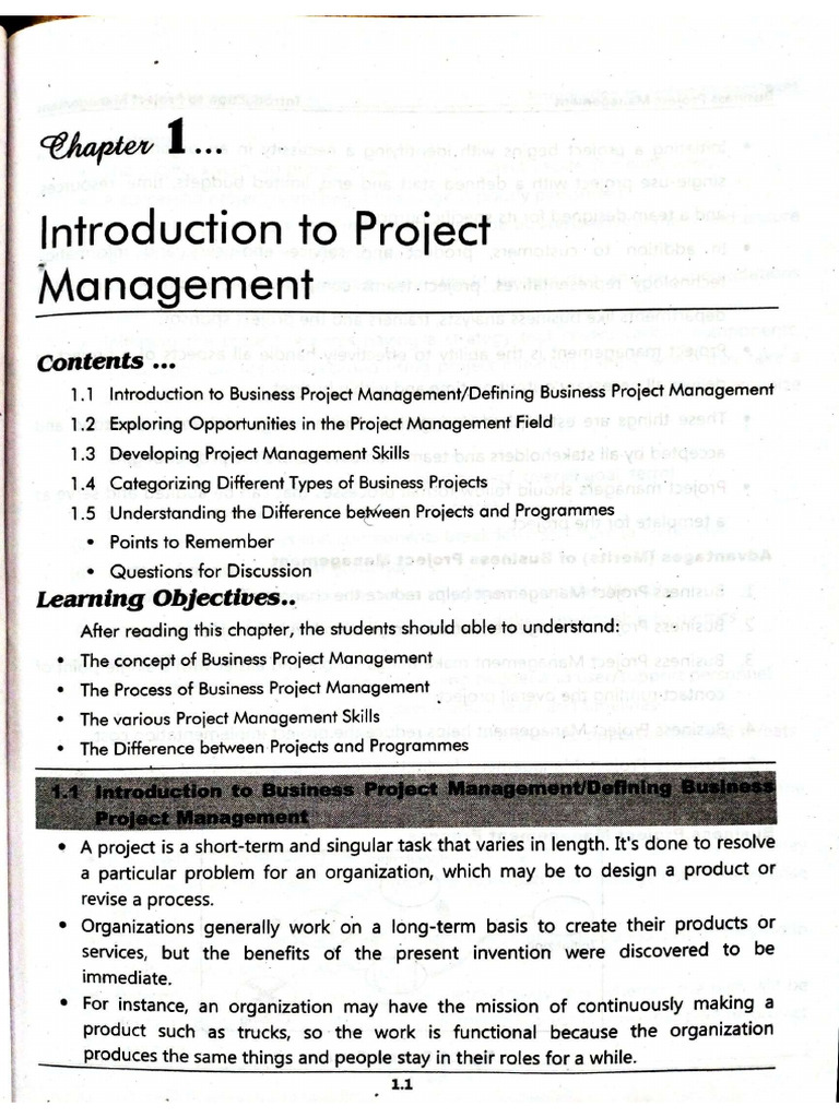 Business Project Management | PDF