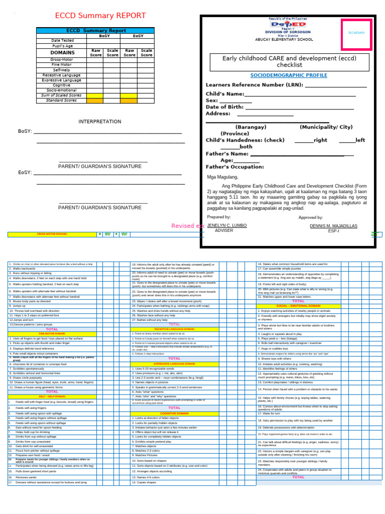 ECCD Checklist and Summary Report | PDF | Linguistics