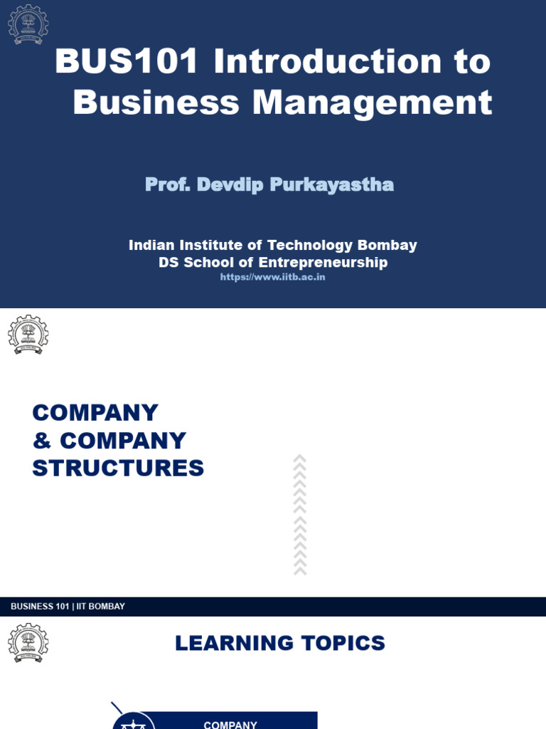 Company Structures in Business 101 | PDF