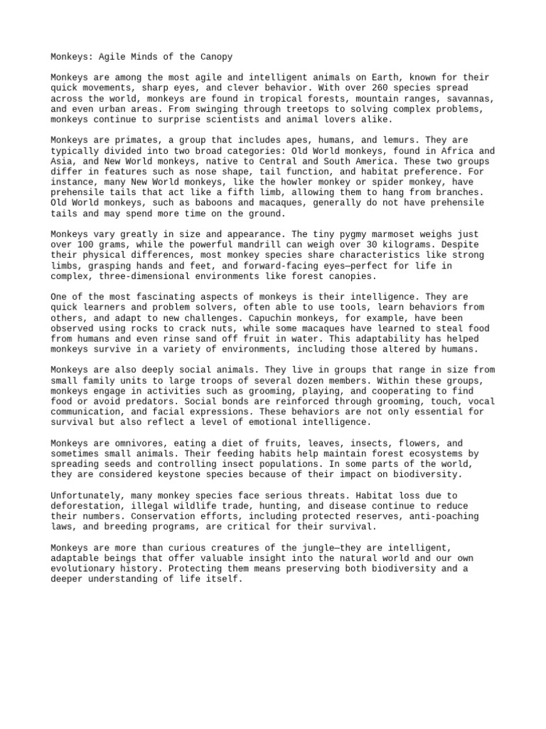 Article - Monkeys - Agile Minds of The Canopy | PDF | Monkey | Zoology