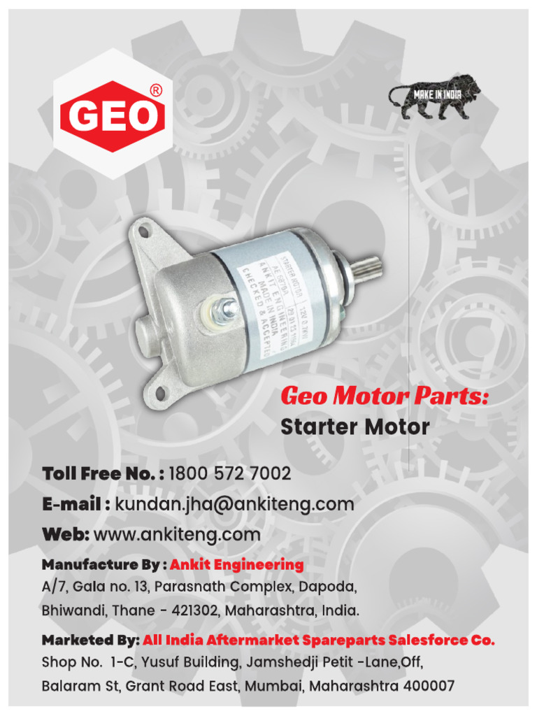 Geo Flyer | PDF