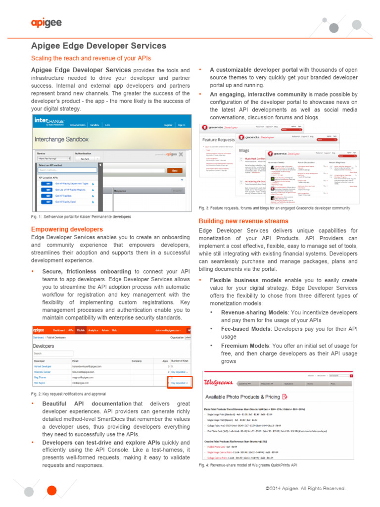 Apigee Edge Developer Services Brief | PDF | Business Model | Invoice