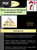 Role of Trace Minerals in Reproduction of Dairy Animal