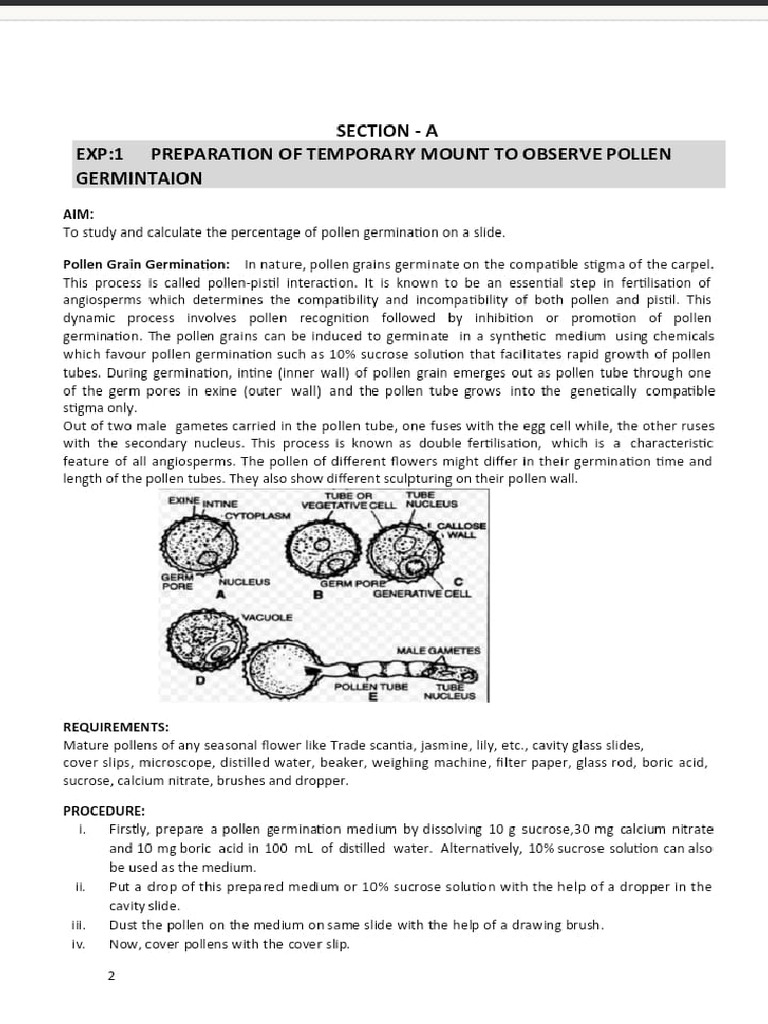 Biology Cbse Practical File 2 | PDF