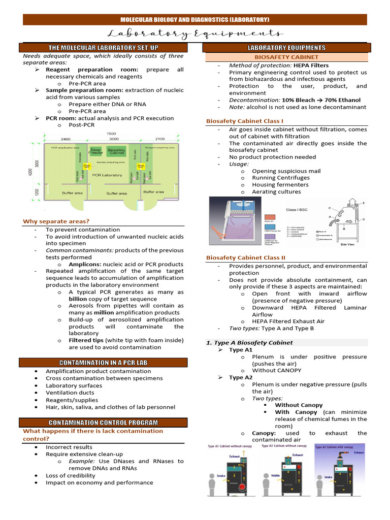 Molecular Biology Lab Setup Guide | PDF | Polymerase Chain Reaction ...