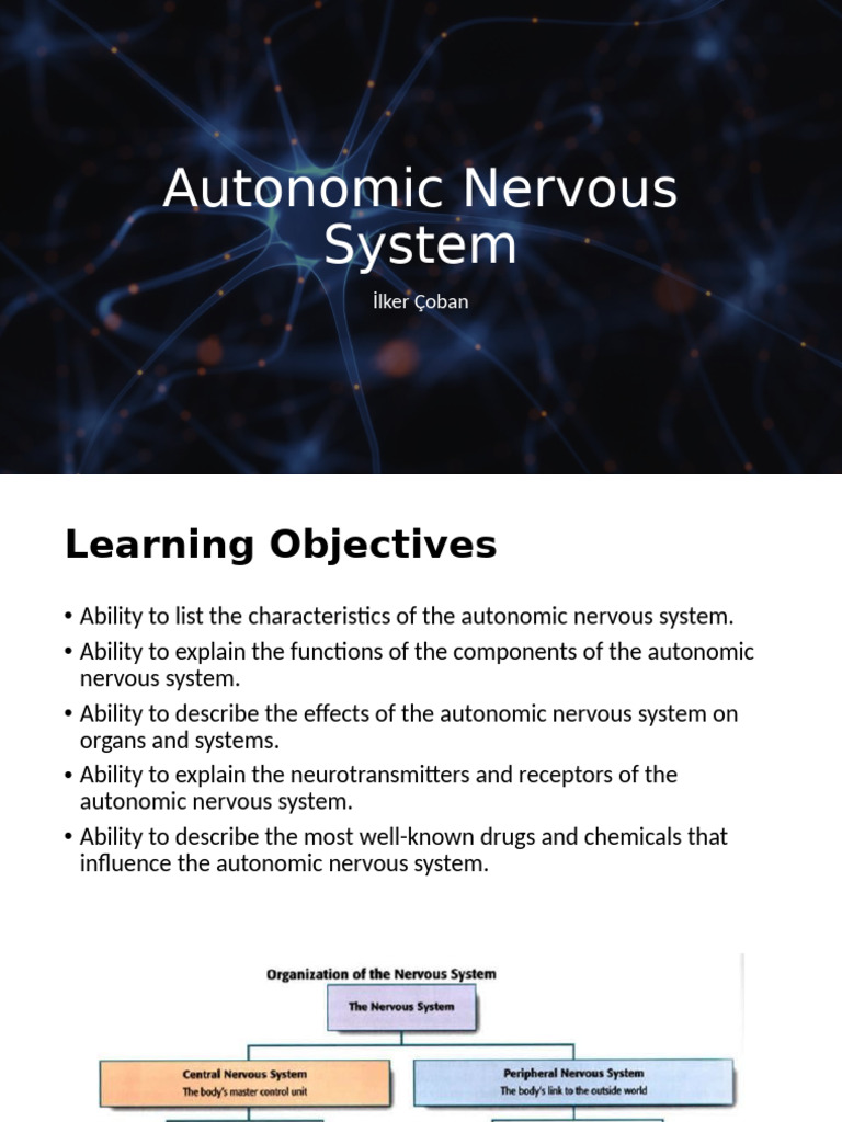Understanding the Autonomic Nervous System | PDF | Autonomic Nervous ...