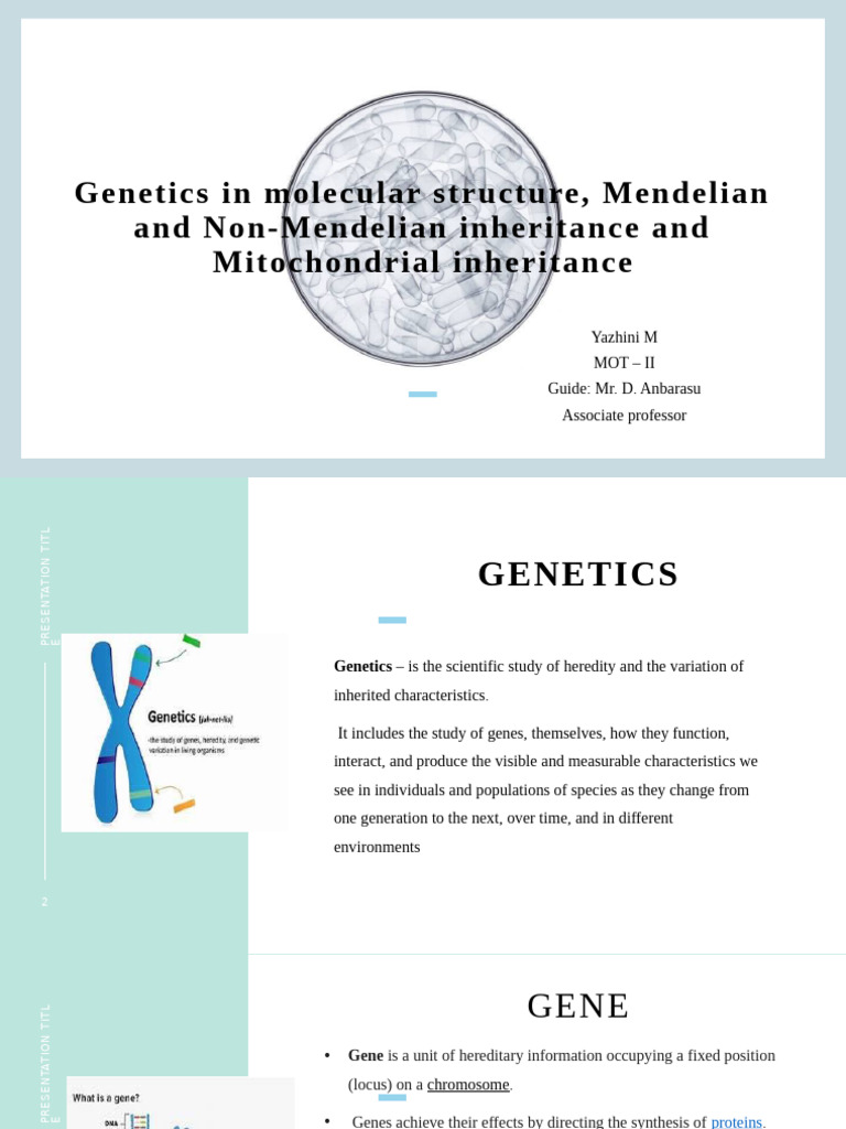 Genetics in Molecular Structure, Mendelian and Non-Mendelian | PDF ...