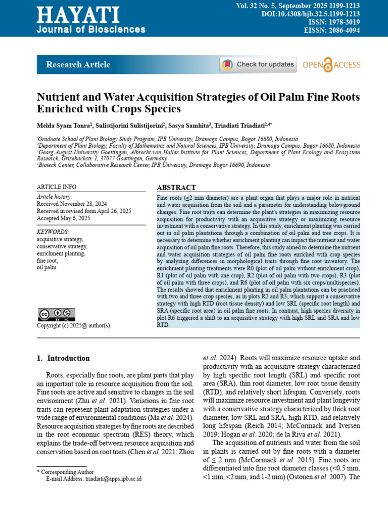 Oil Palm Fine Roots: Nutrient Strategies | PDF | Root | Soil