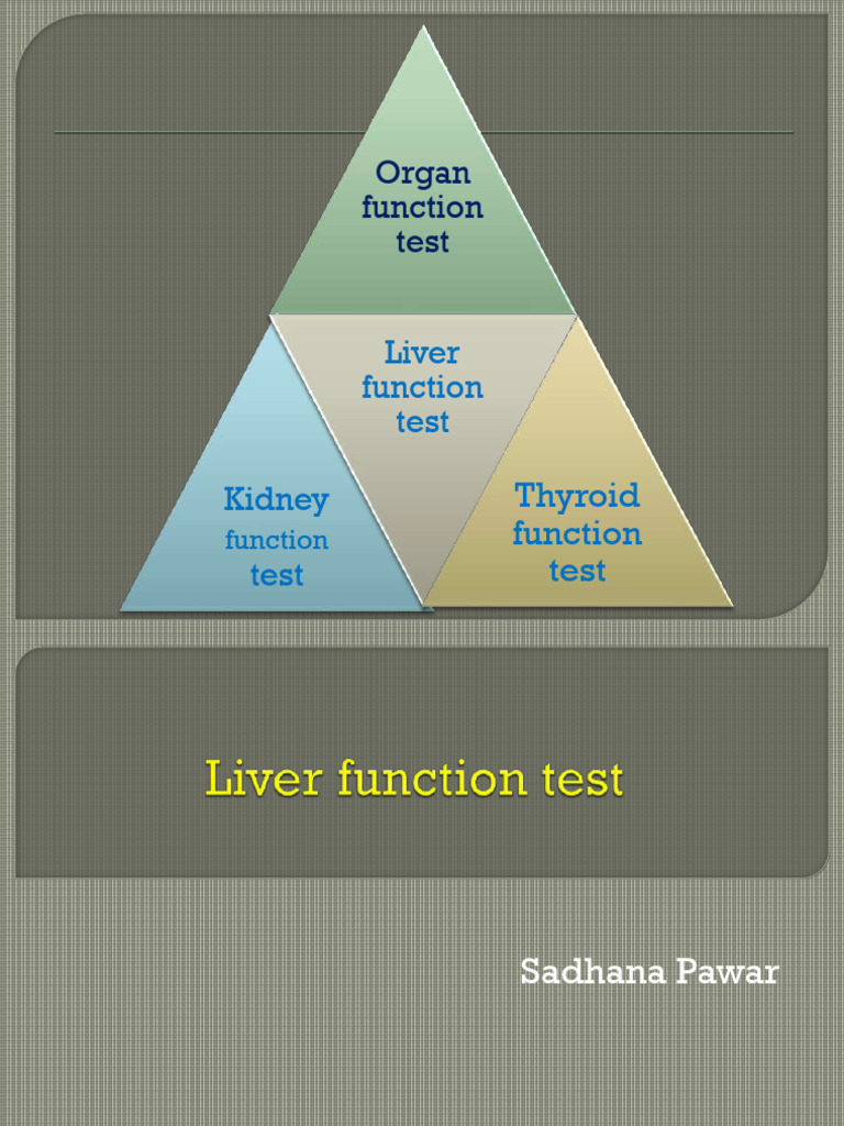 Major Liver Function Tests Overview | PDF | Liver | Digestive System
