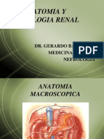 Anatomia y Semiologia Renal (I)