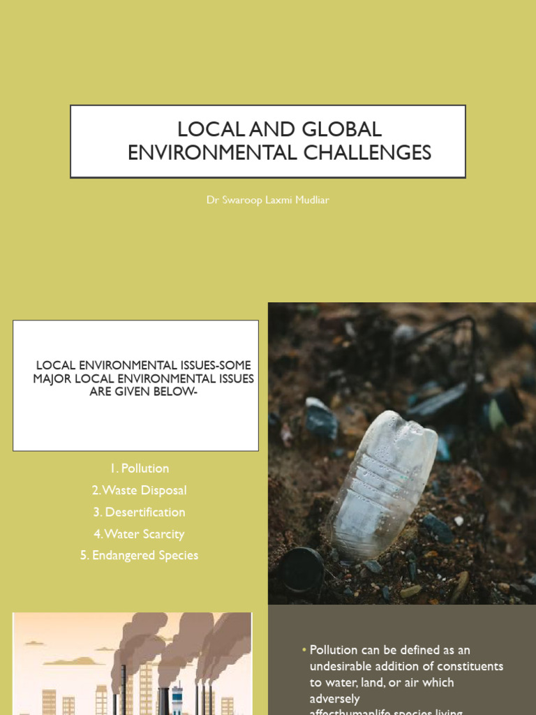 Local and Global Environmental Issues | PDF | Water Pollution | Pollution