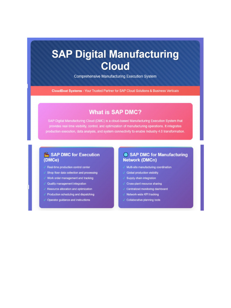Sap DMC Poster | PDF