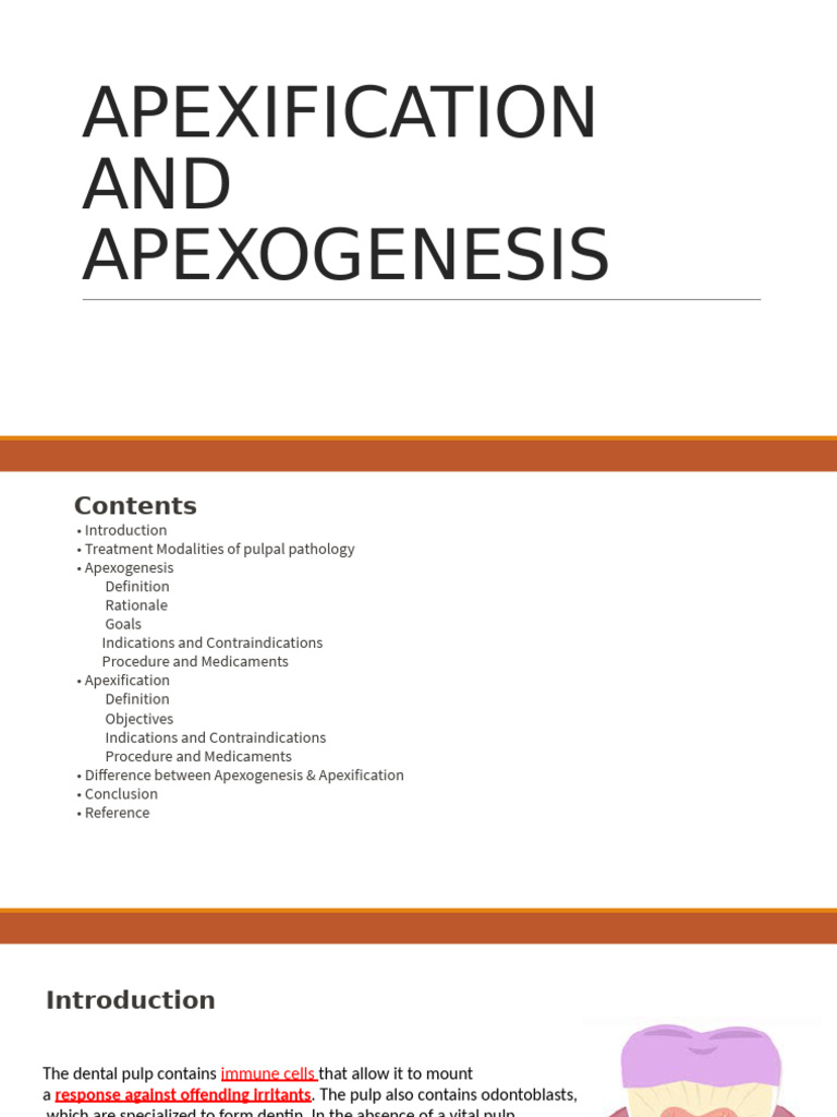 Apexification vs Apexogenesis Explained | PDF | Dentistry | Dentistry ...