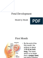Fetal Development: Month by Month
