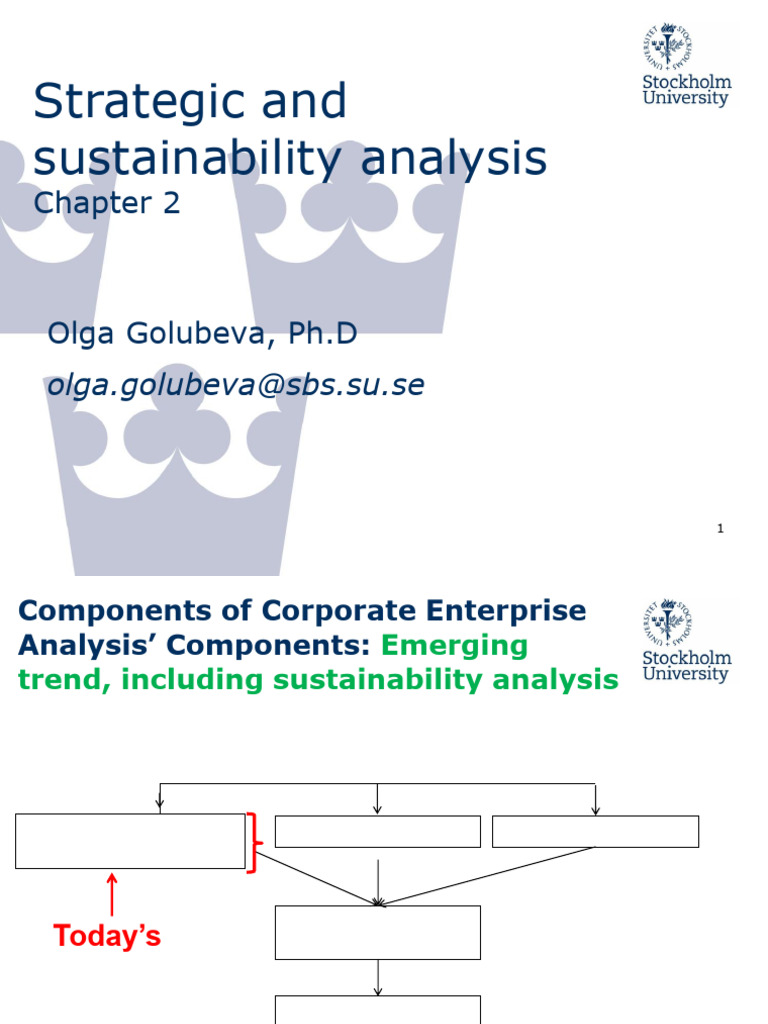 2 Strategic and Sustainability Analysis | PDF | Strategic Management ...