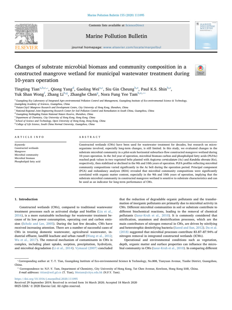 Microbial Changes in Mangrove Wetlands | PDF | Mangrove | Wetland