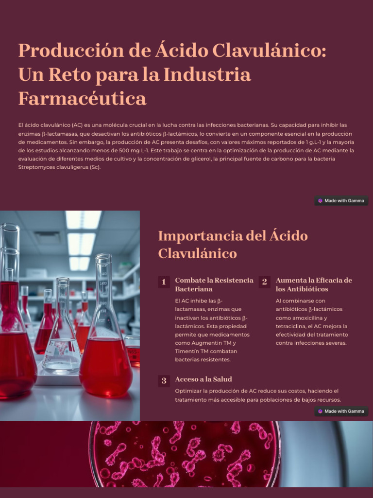 Optimización de Producción de Ácido Clavulánico | PDF | Las bacterias