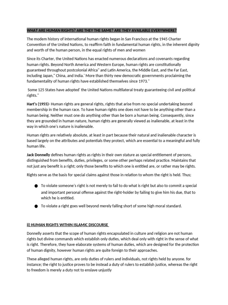 Understanding Human Rights: A Global Perspective | PDF | Human Rights ...