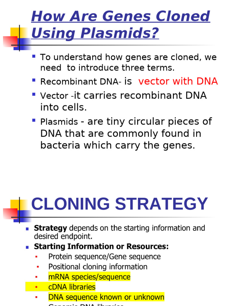 2nd Lecture DNA Cloning and Vectors | PDF | Molecular Cloning | Plasmid