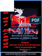 Magazine Región del Maule Sur-Chile 6