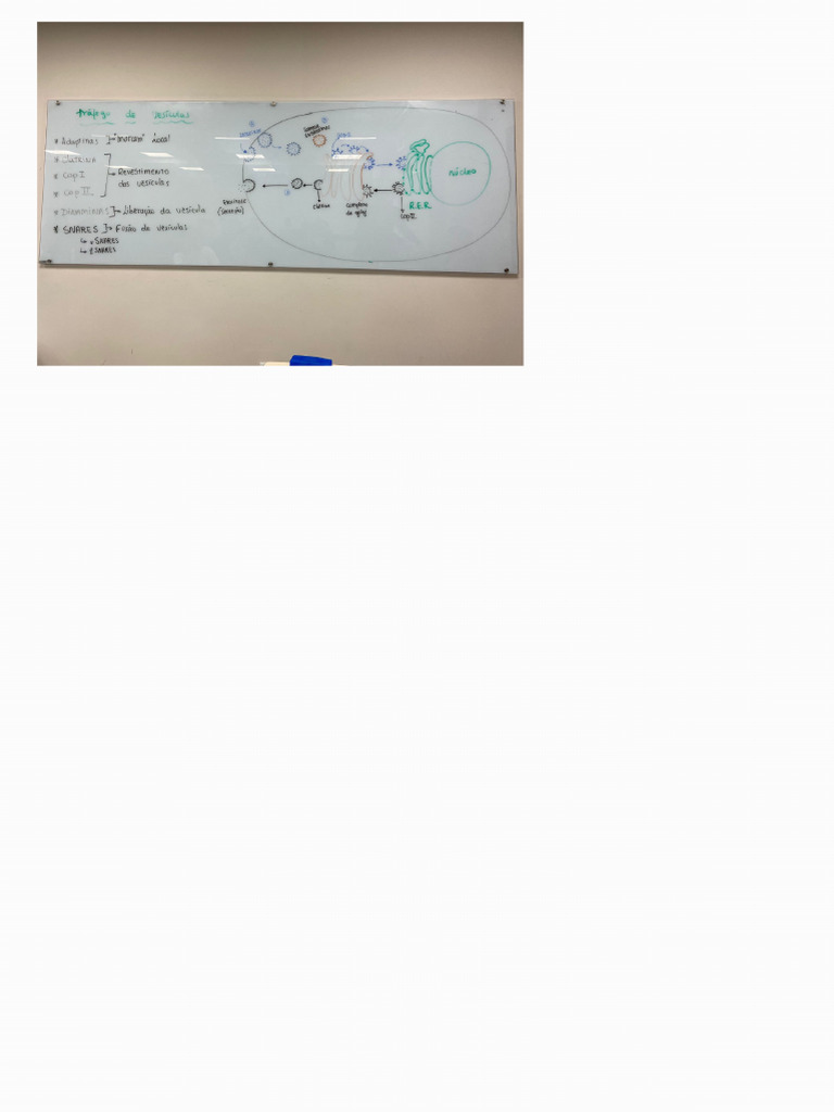 Notes 250703 152812 | PDF