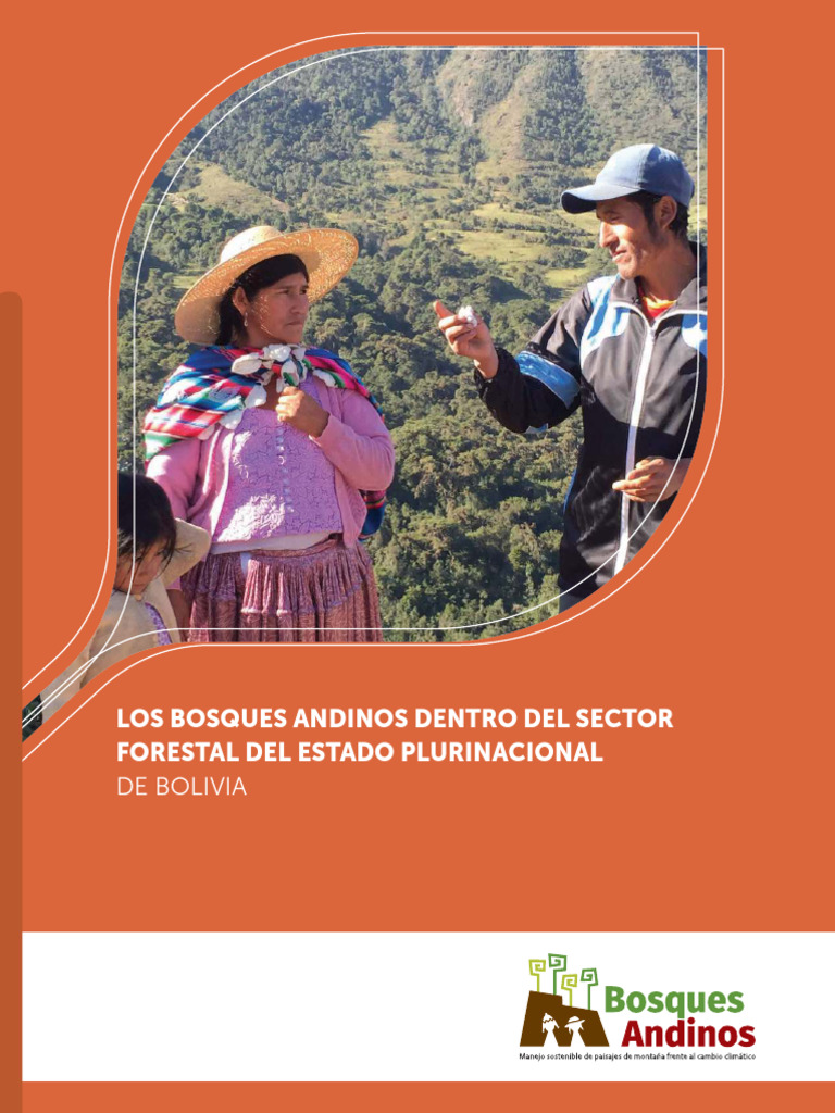 Gestión de Bosques Andinos en Bolivia | PDF | Los bosques | Andes