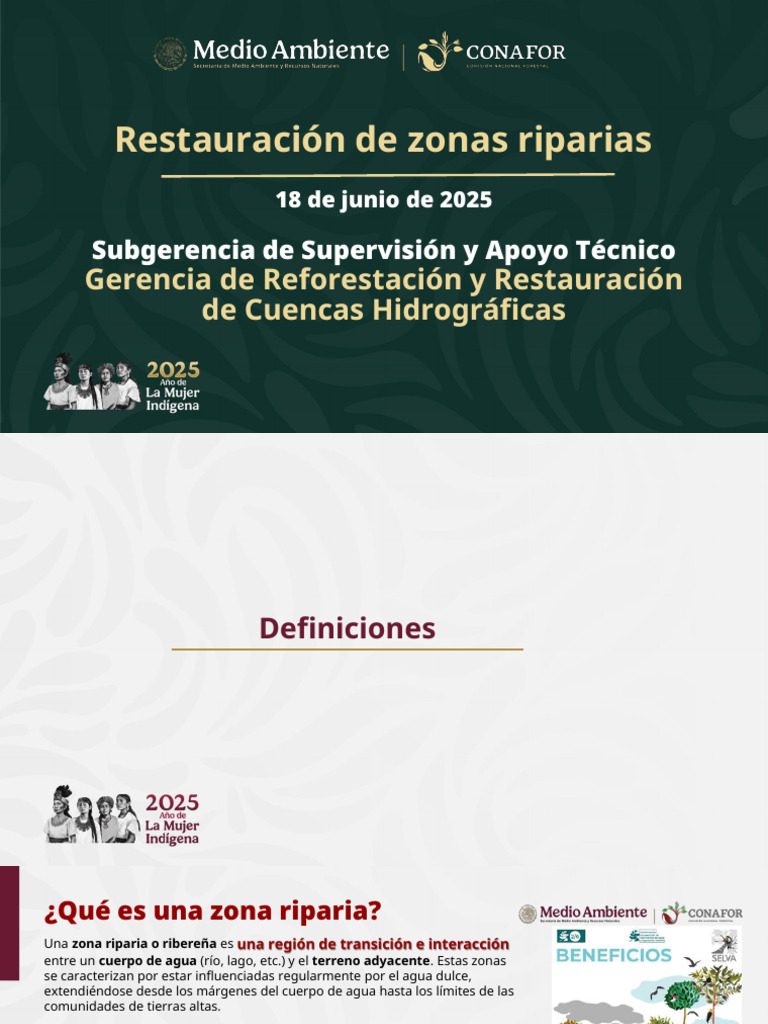 Restauración de Zonas Riparias Efectiva | PDF | Zona ribereña ...