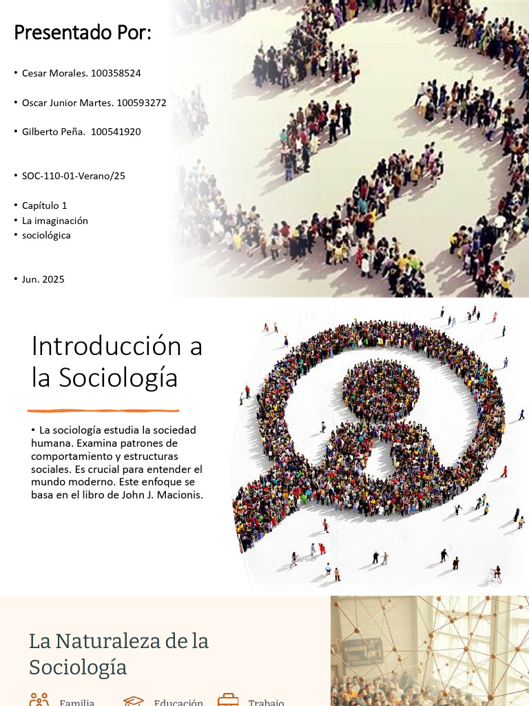 Introducción a la Sociología Moderna | PDF | Sociología | Sociedad