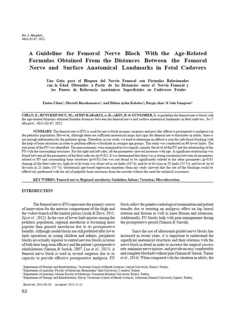 Femoral Nerve Block Guidelines for Infants | PDF | Human Anatomy ...