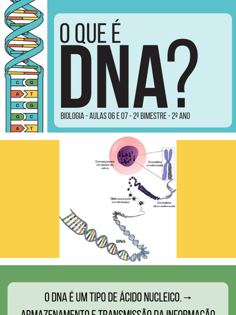 Estrutura e Função do DNA | PDF