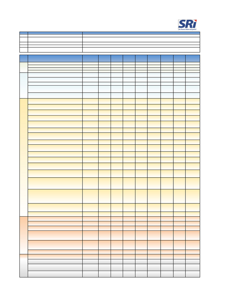 Matriz RASCI en Gestión de Proyectos | PDF