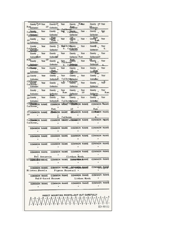 4h Insect Labels | PDF | Law | Young Adult