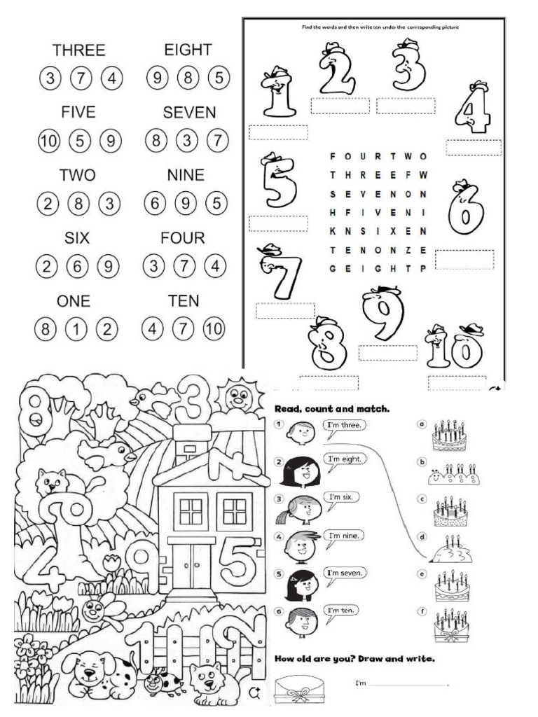Numbers | PDF