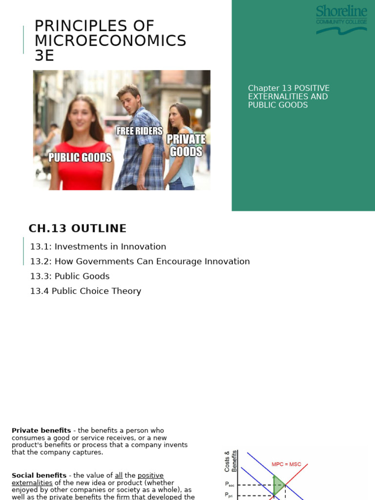 Positive Externalities and Public Goods | PDF | Externality | Voting