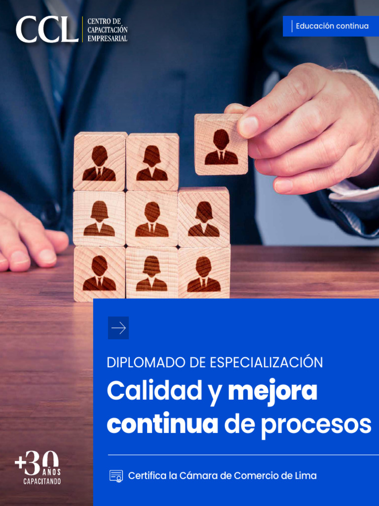 Diplomado en Calidad y Mejora Continua | PDF | Calidad (comercial ...