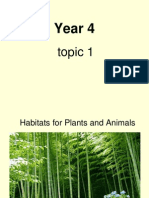 Year 4: Topic 1