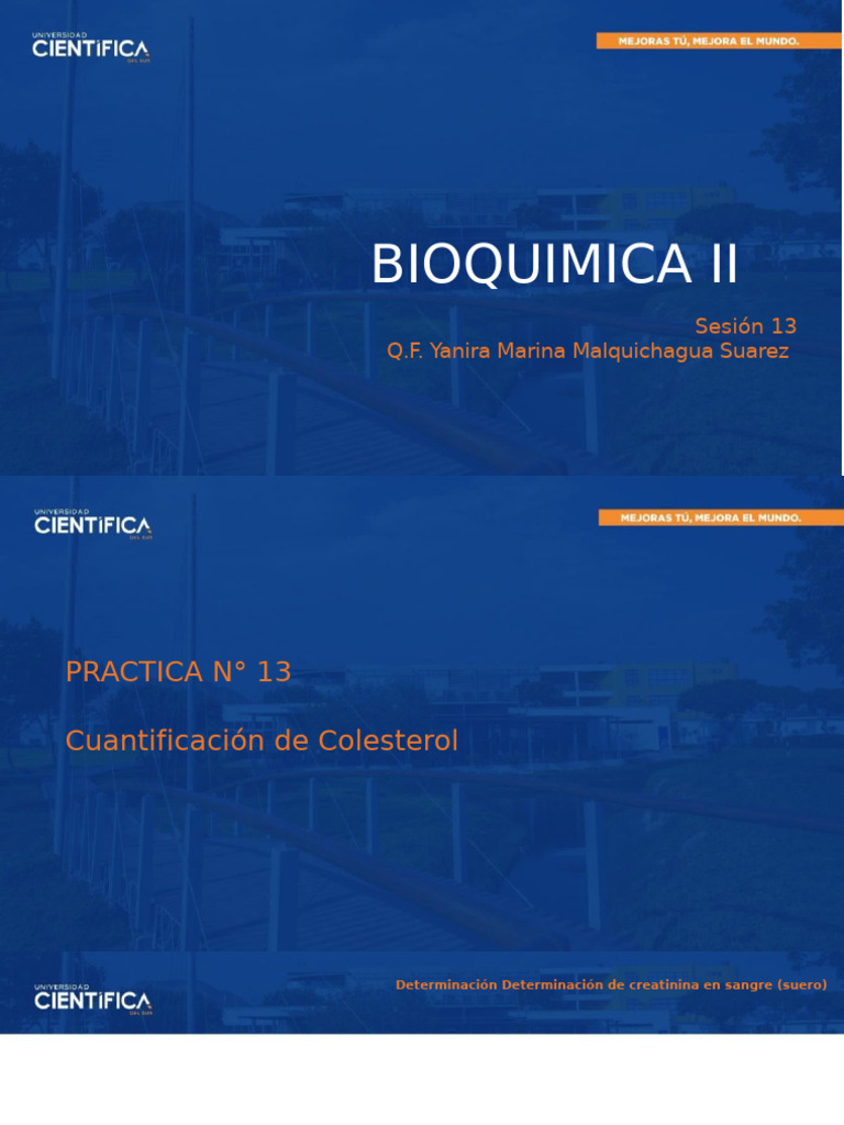 Practica 13 1 | PDF