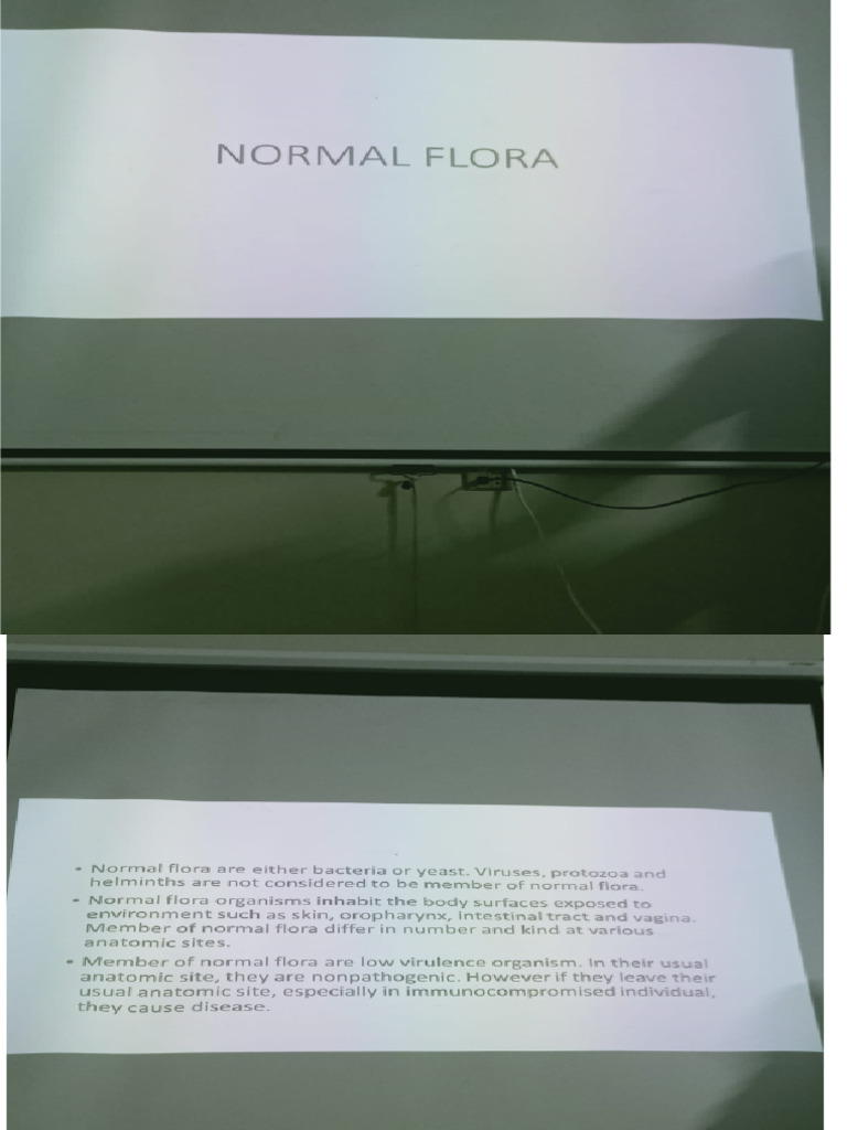 25 Bacterial Flora | PDF
