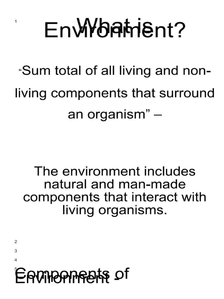 Understanding Environmental Components | PDF | Natural Environment ...