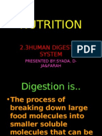 Nutrition: 2.3human Digestive System