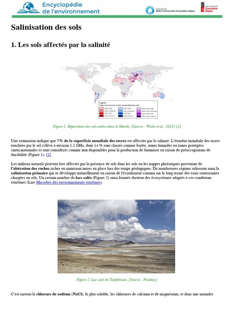 Impact de la salinisation des sols | PDF | Sol (pédologie) | Irrigation