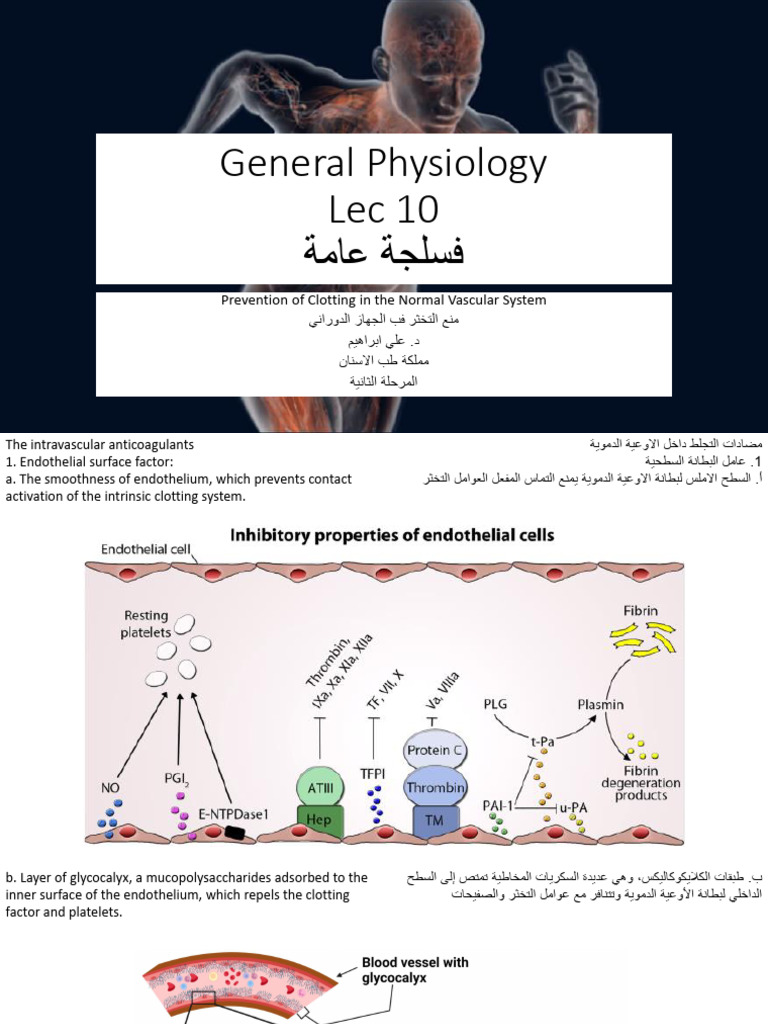 General Physiology 10 | PDF