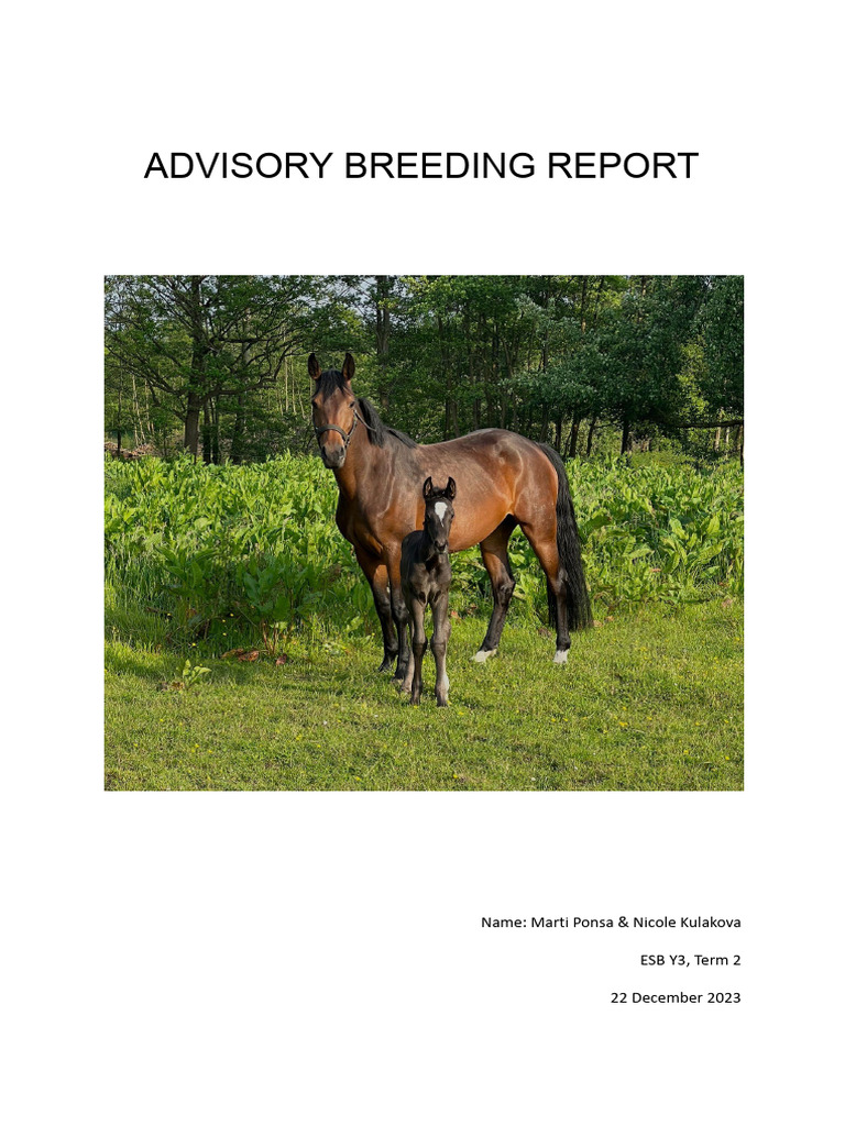 Advisory Report on Sport Horse Breeding | PDF | Horse Breeding | Horses